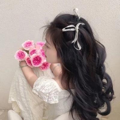 克里斯黛拉·阿朗索：中产阶级