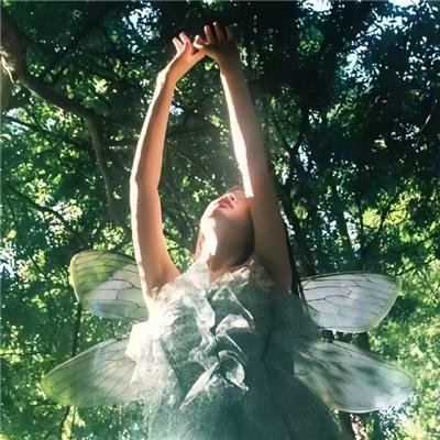 晨光微露爱之破裂